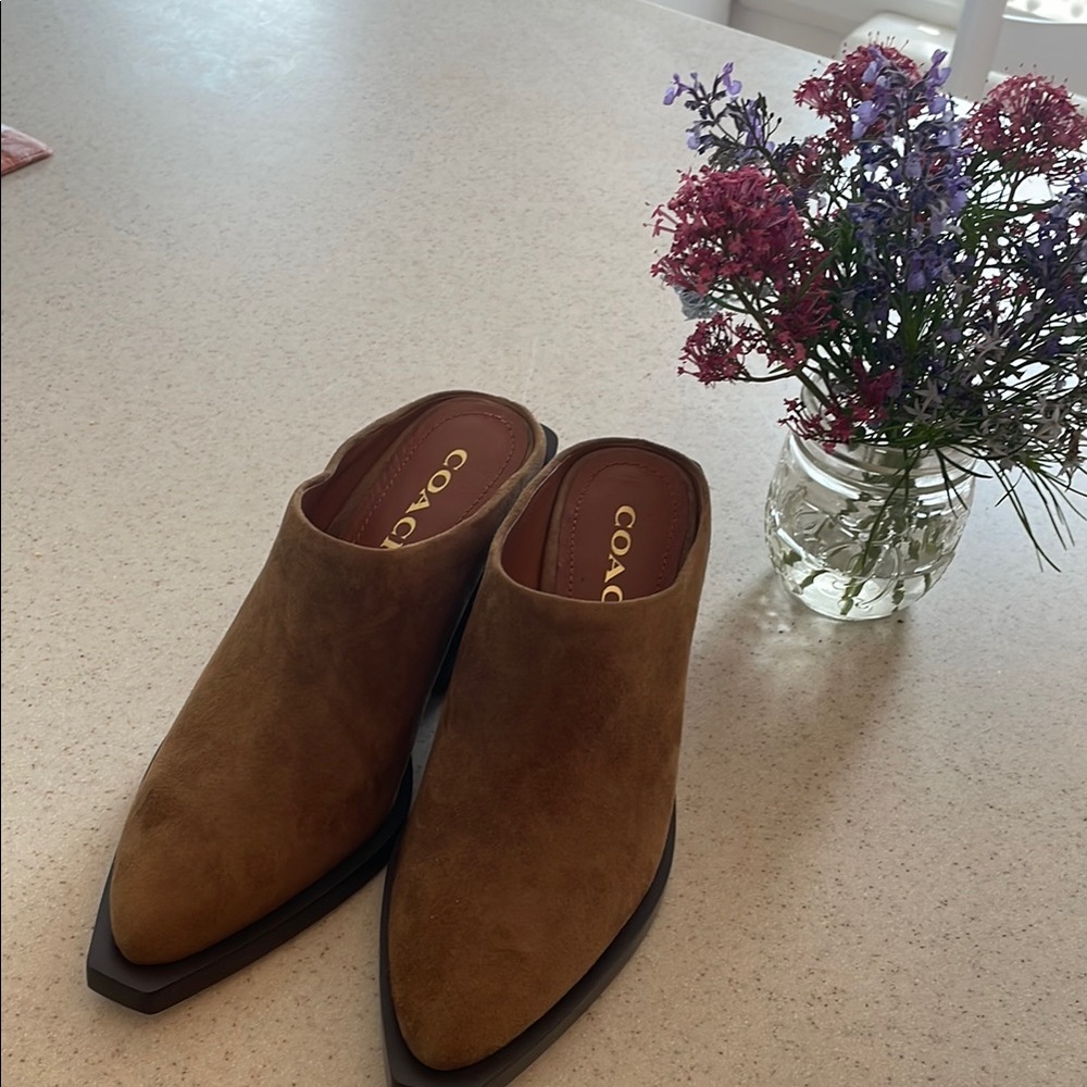Coach Paloma mules, size 5 1/2